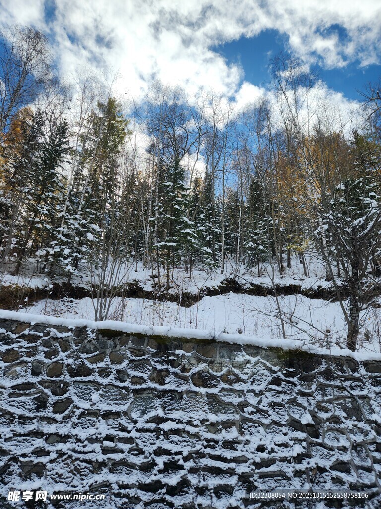 冬日雪覆石滩与树林美景