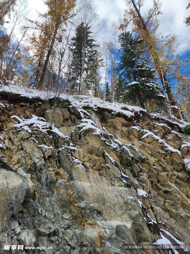 雪覆山坡的秋日山林景观