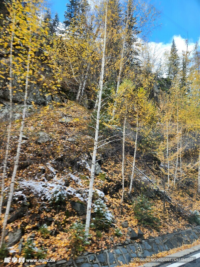 秋日山林公路边的景致