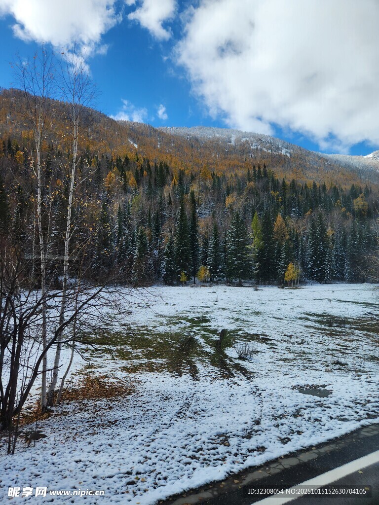 雪覆山林的冬日公路景致