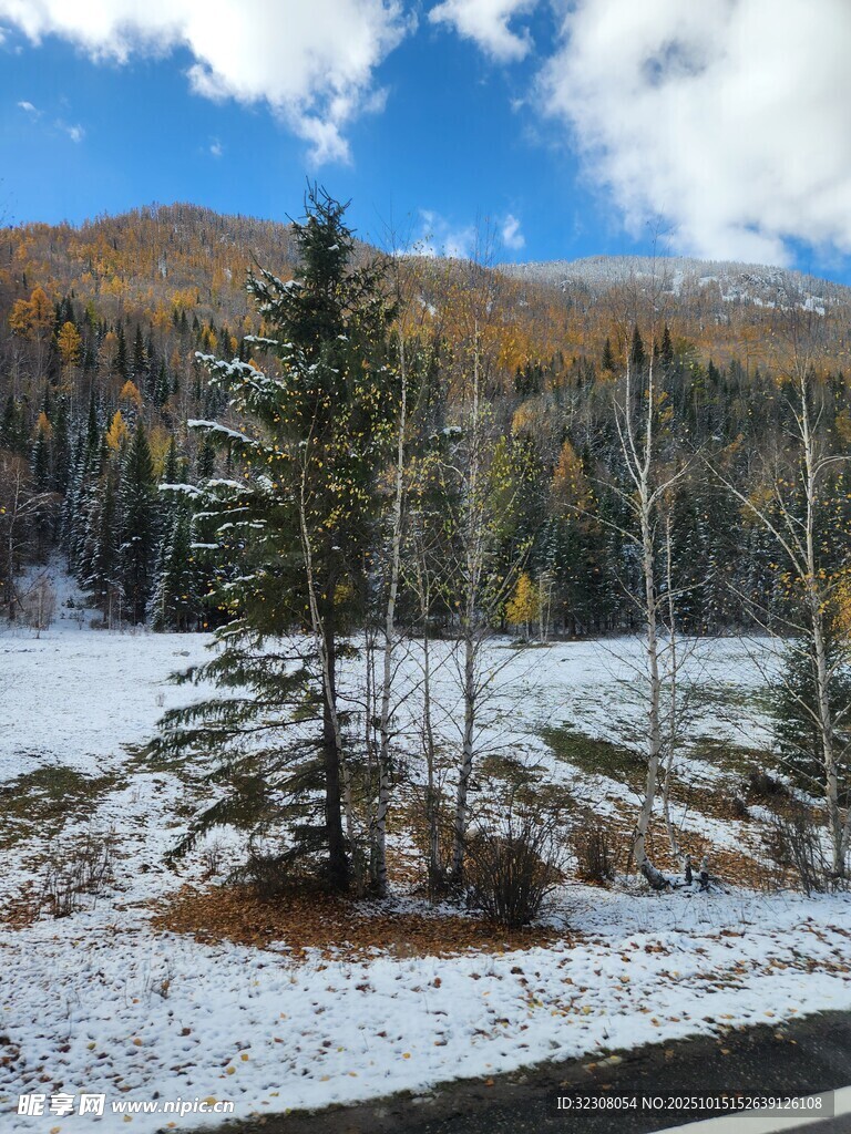 冬日雪覆山林美景