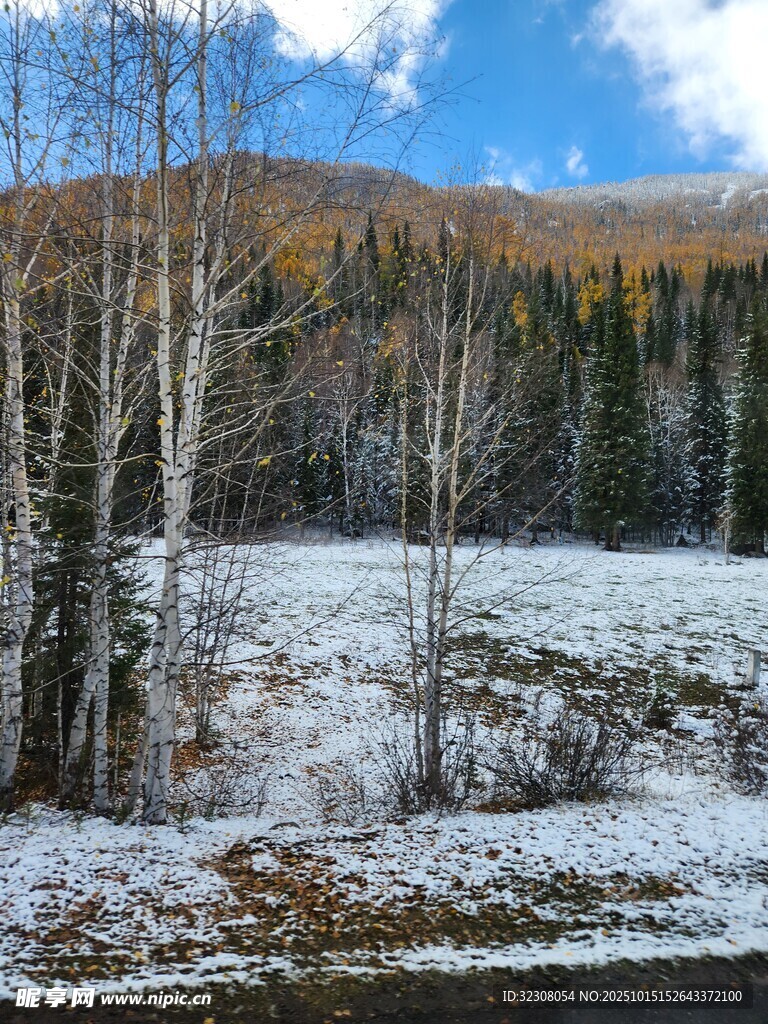 雪覆山林的冬日美景