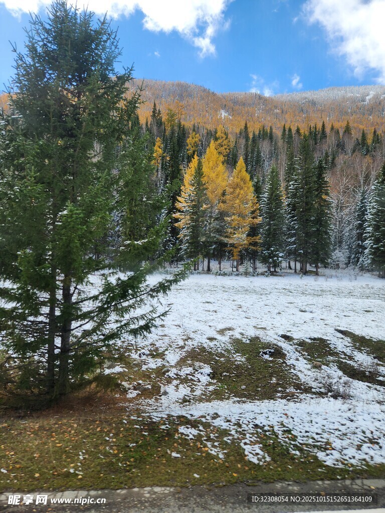 秋日雪覆山林美景