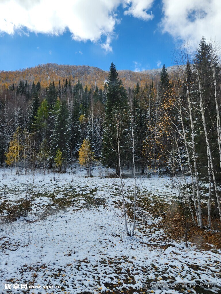 雪覆山林的秋日美景