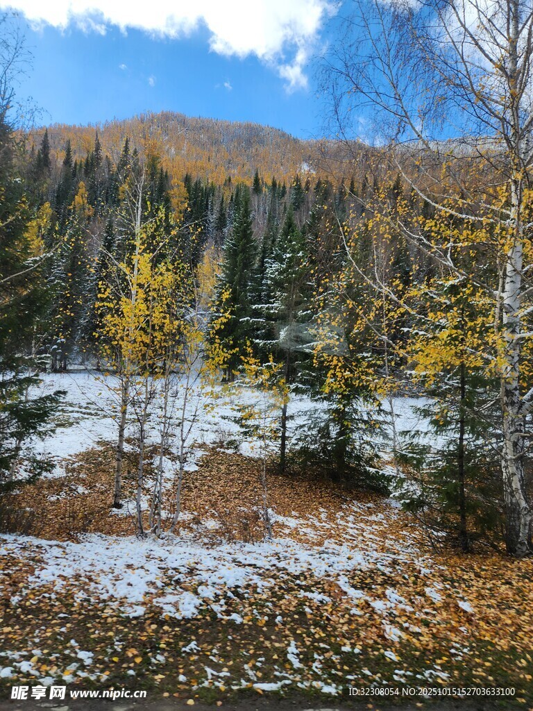 秋末山林雪景