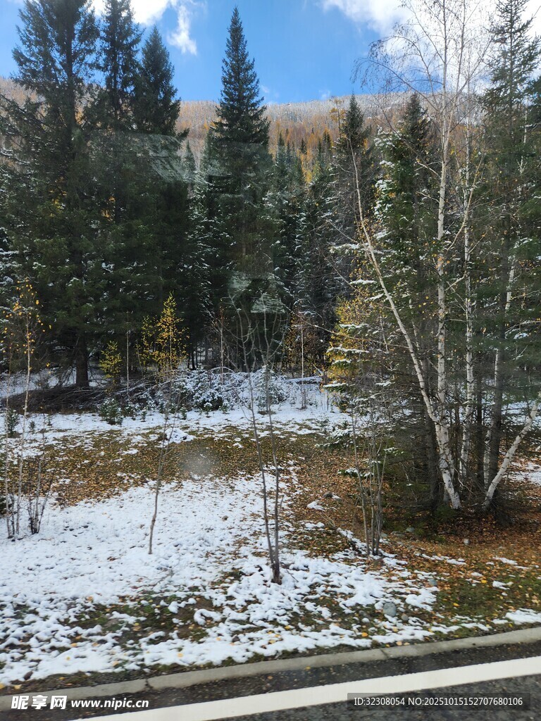冬日路边的森林雪景