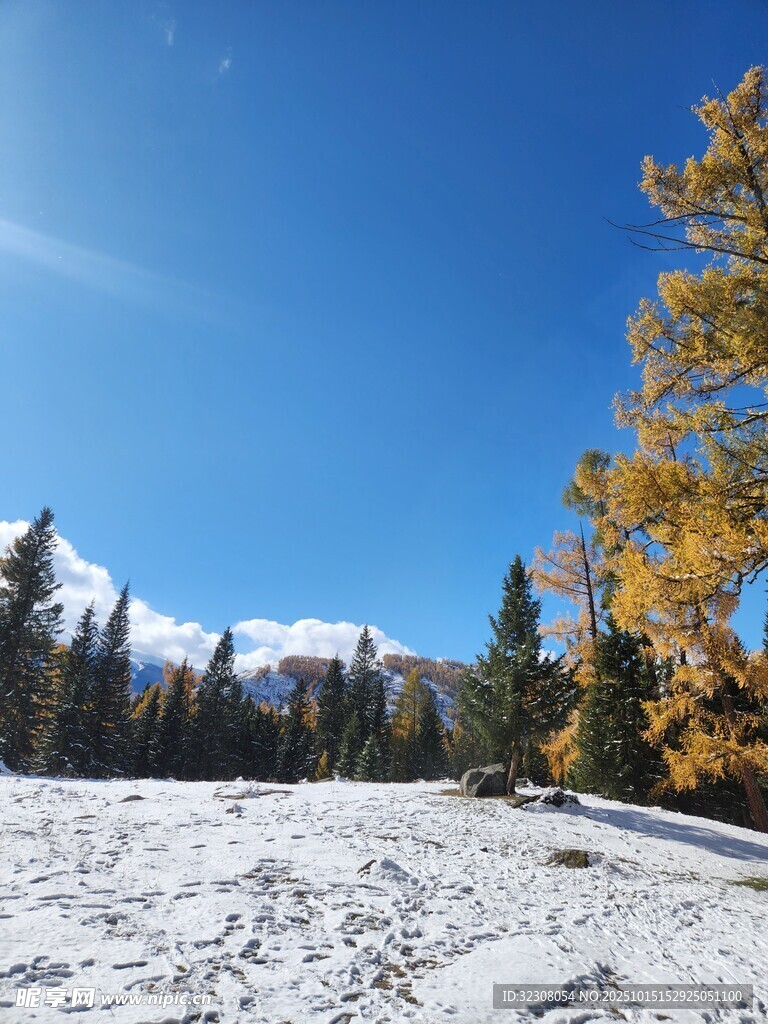 雪覆山林的秋日美景