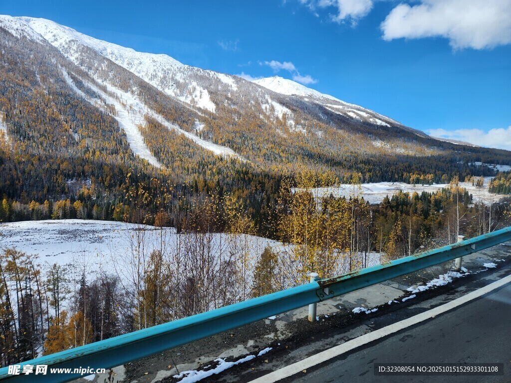 冬日公路旁的雪山森林美景