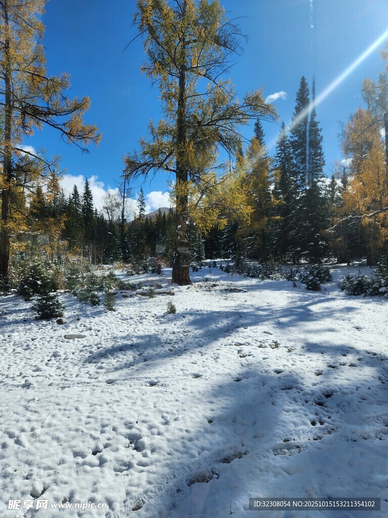 雪覆山林的秋日美景
