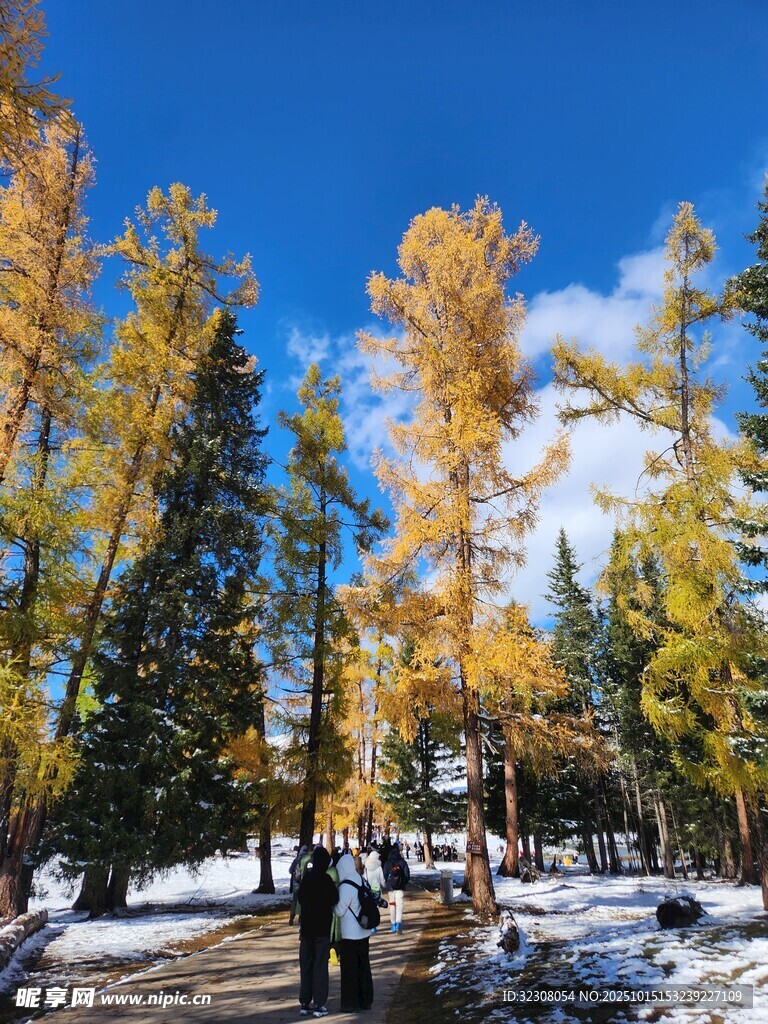 秋日山林雪景中的漫步人群