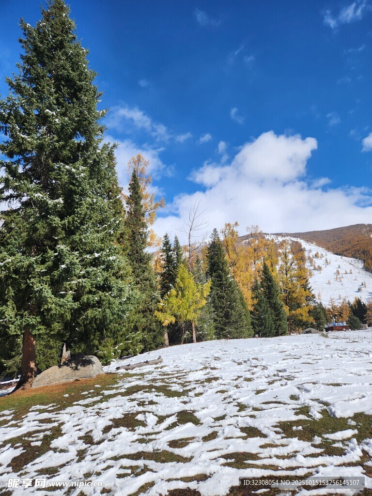 雪覆山林的秋日美景