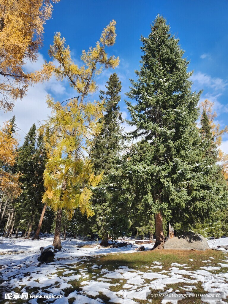 雪覆山林间的秋日美景