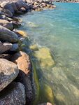 海边嶙峋礁石与清澈海水