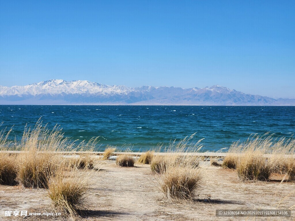 湖畔远山与岸边枯草美景