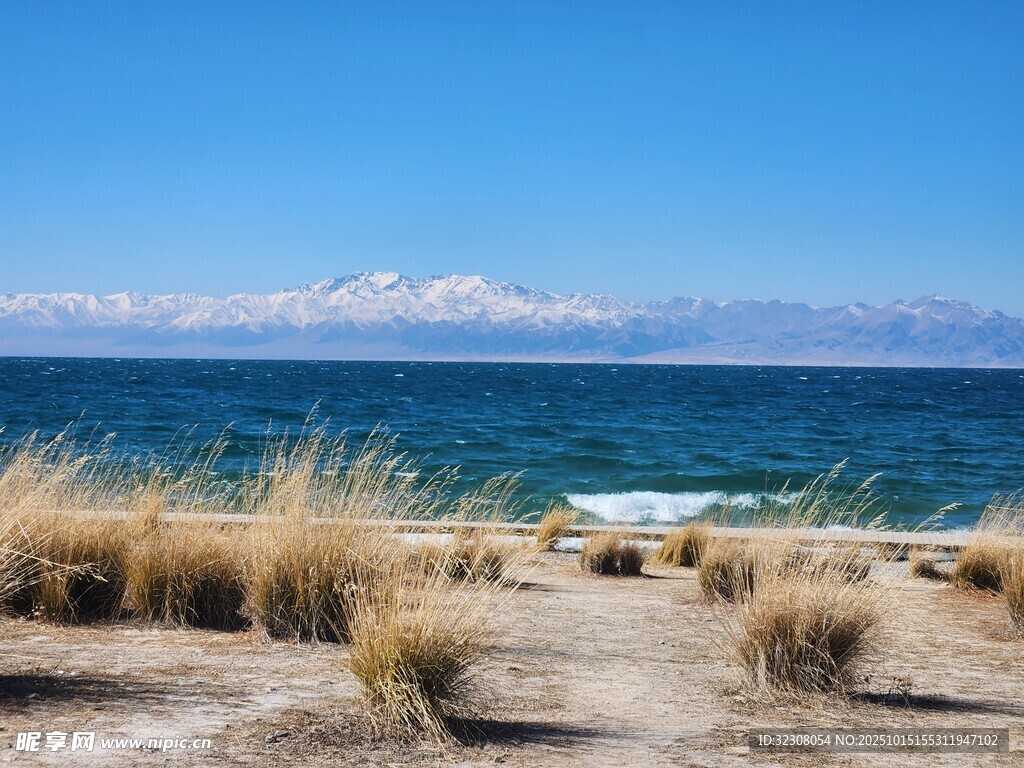 海边荒野与远处雪山美景