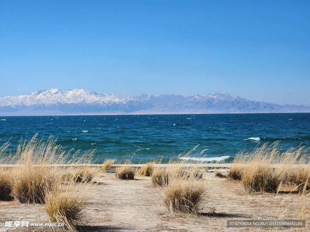 海边荒原与远处雪山美景
