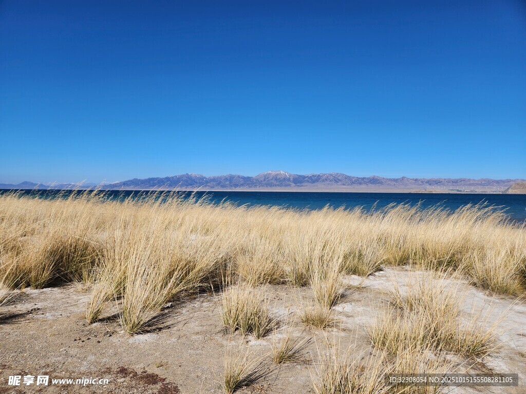 湖畔金黄野草与蓝天美景