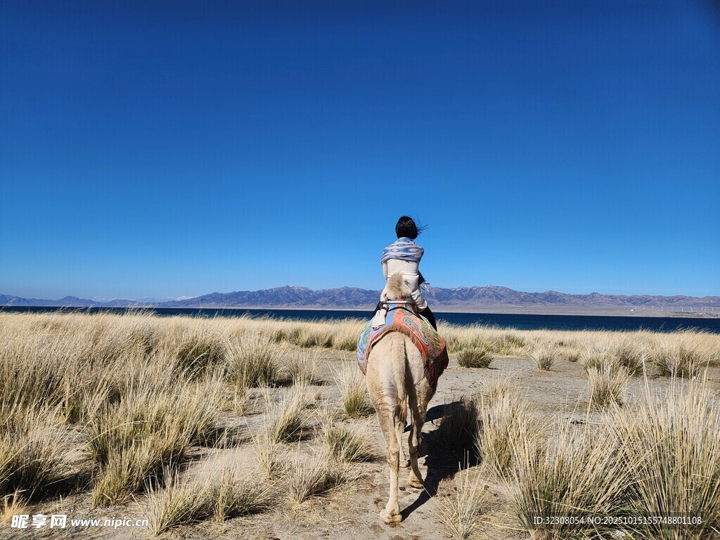 草原上骑马的人