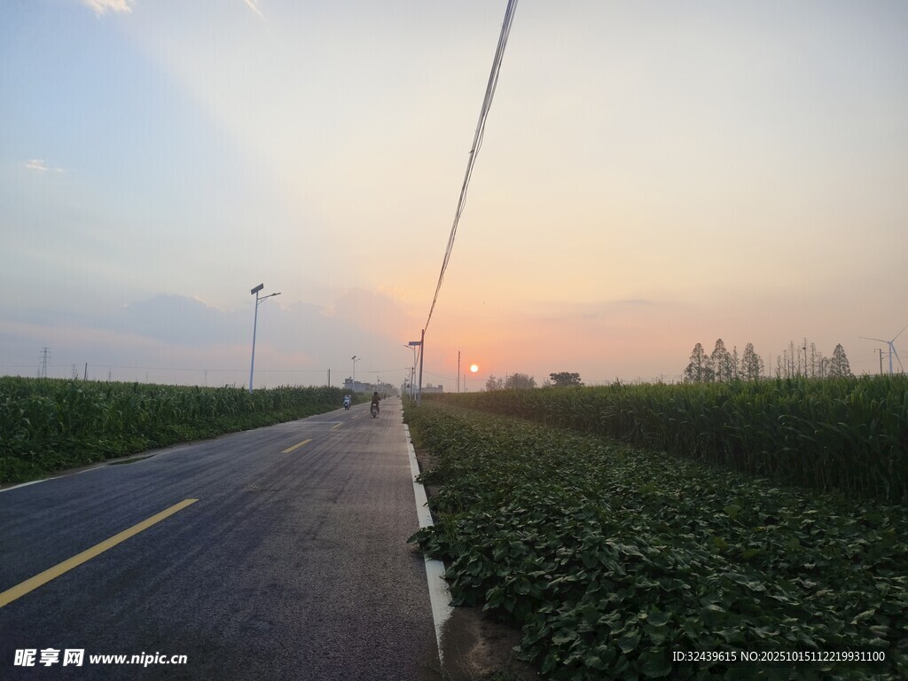 乡村公路的黄昏美景