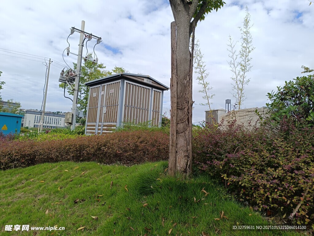 户外小屋旁的绿植景观