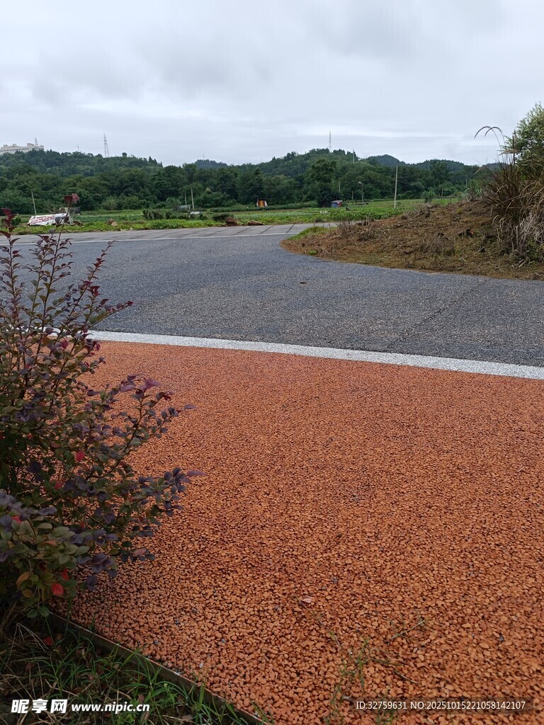 橙色路面旁的绿植与道路