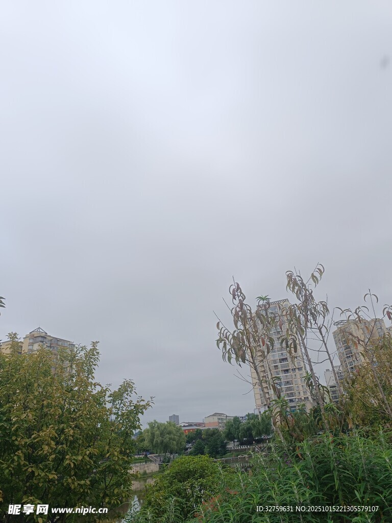 阴天的户外绿植景观