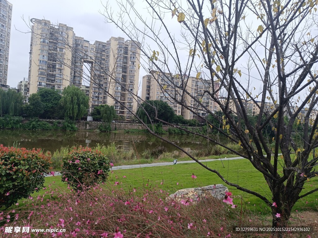 城市公园中的绿植与建筑景观