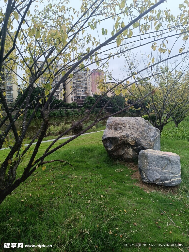 园林草地间的巨石与树木
