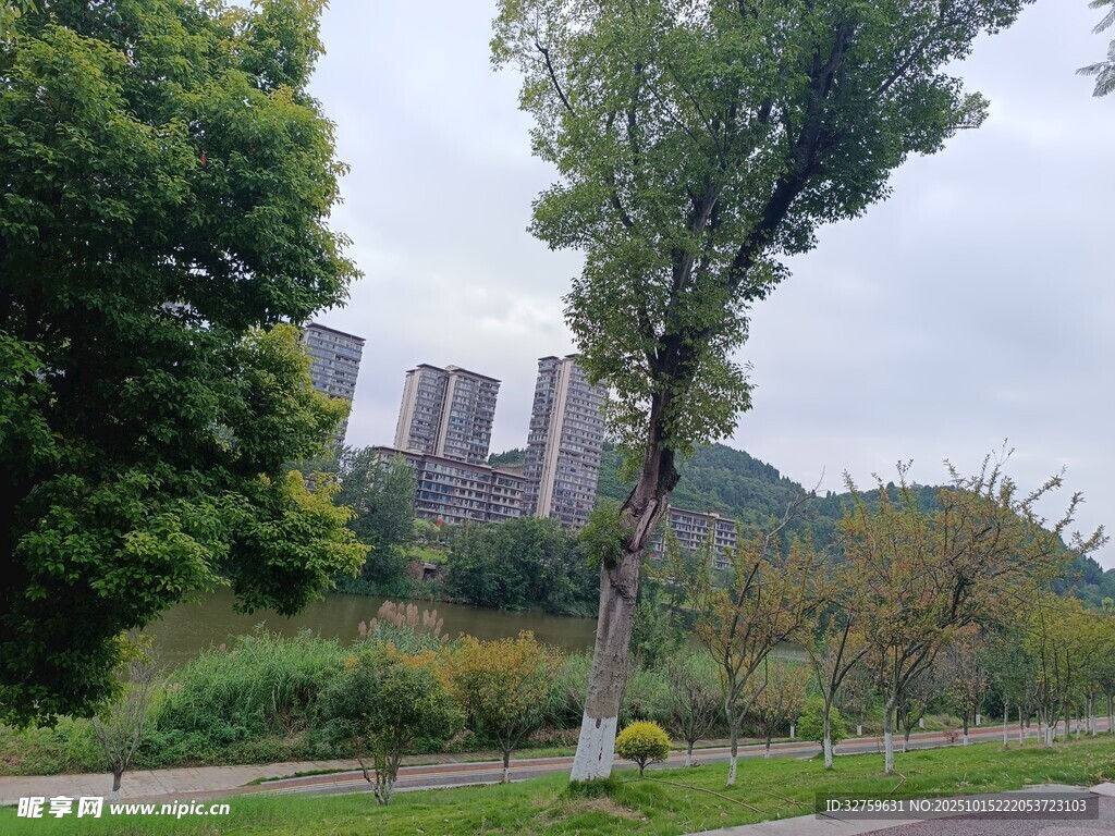 郊外绿树环绕的建筑风景