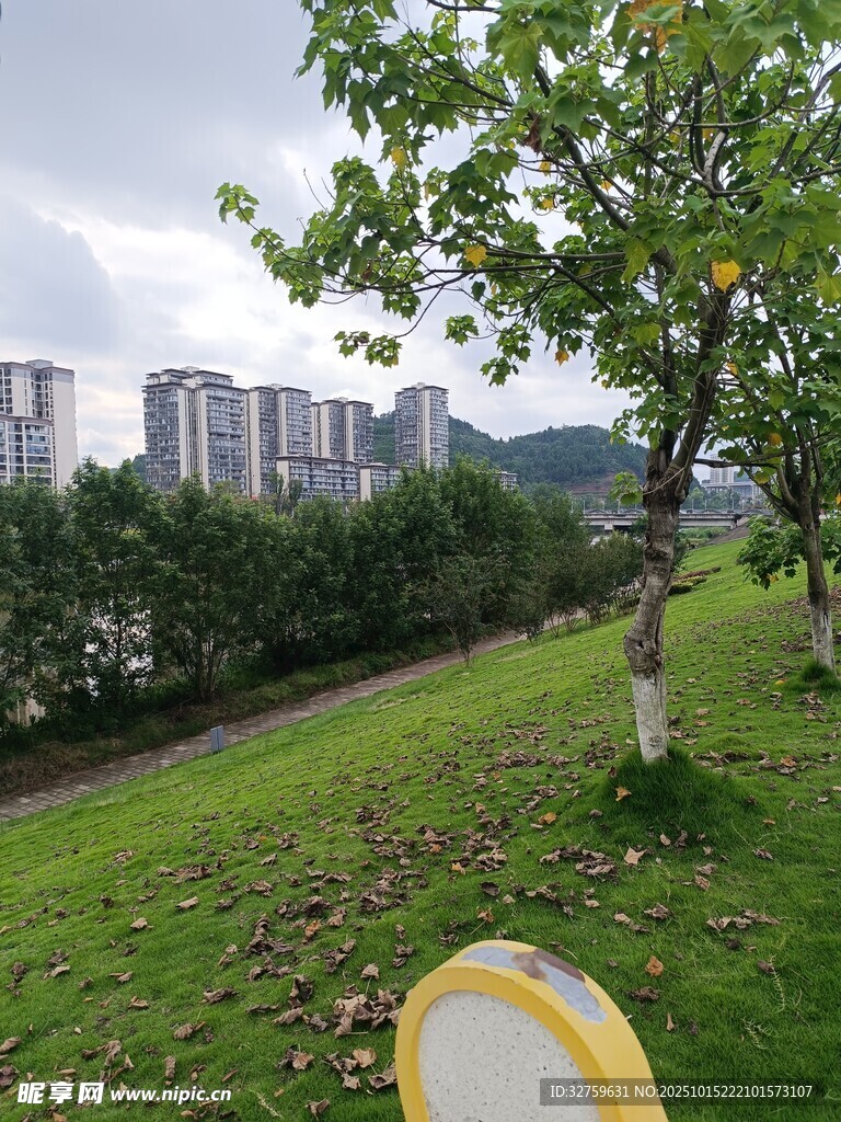 户外草地旁的树木与建筑