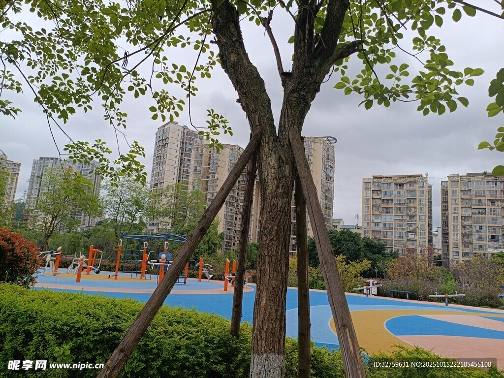 小区内的休闲景观与树木