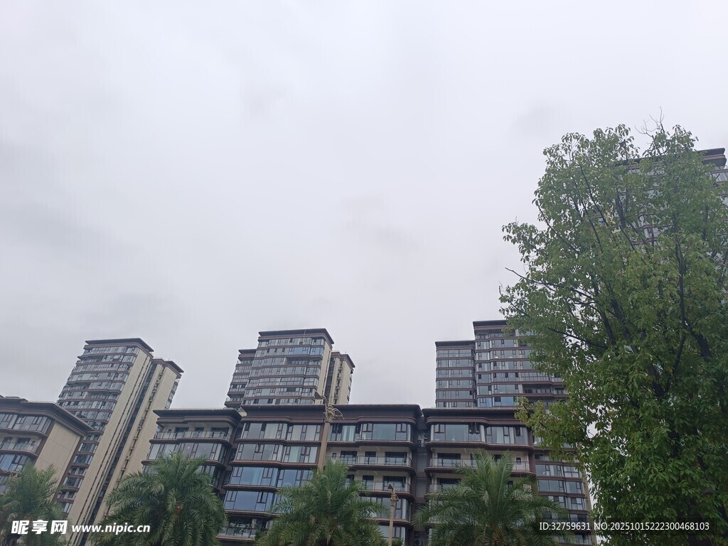城市中的高层住宅与绿树