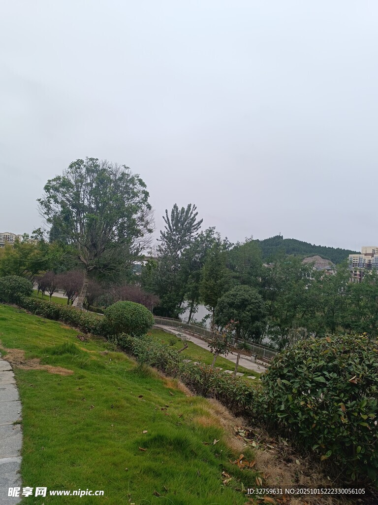 户外绿意盎然的自然景观