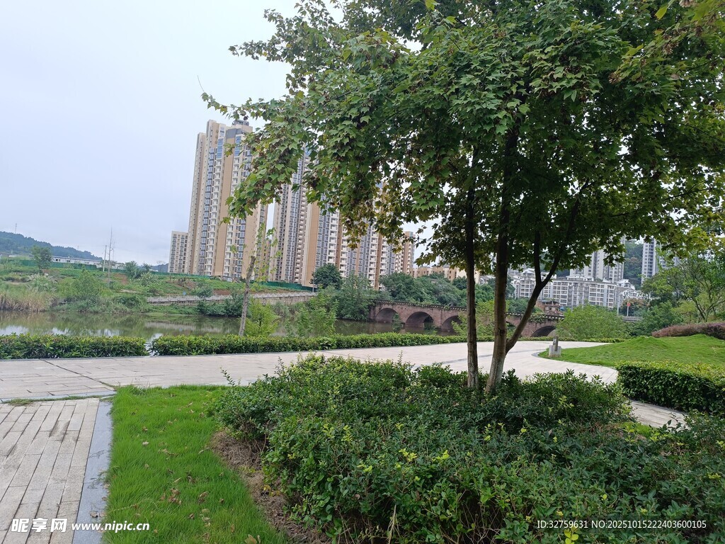 城市中的静谧绿化景观