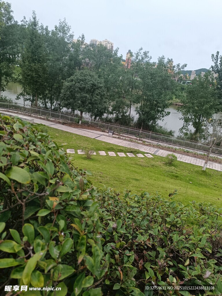 城市绿化景观一角