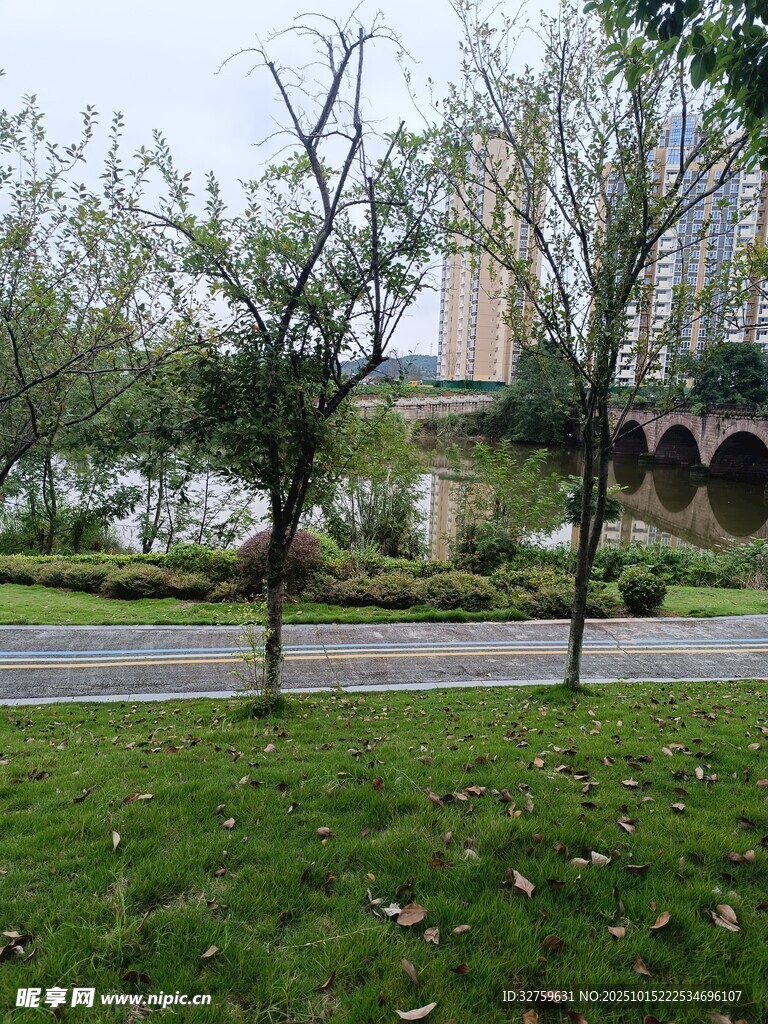 城市公园中的静谧景致