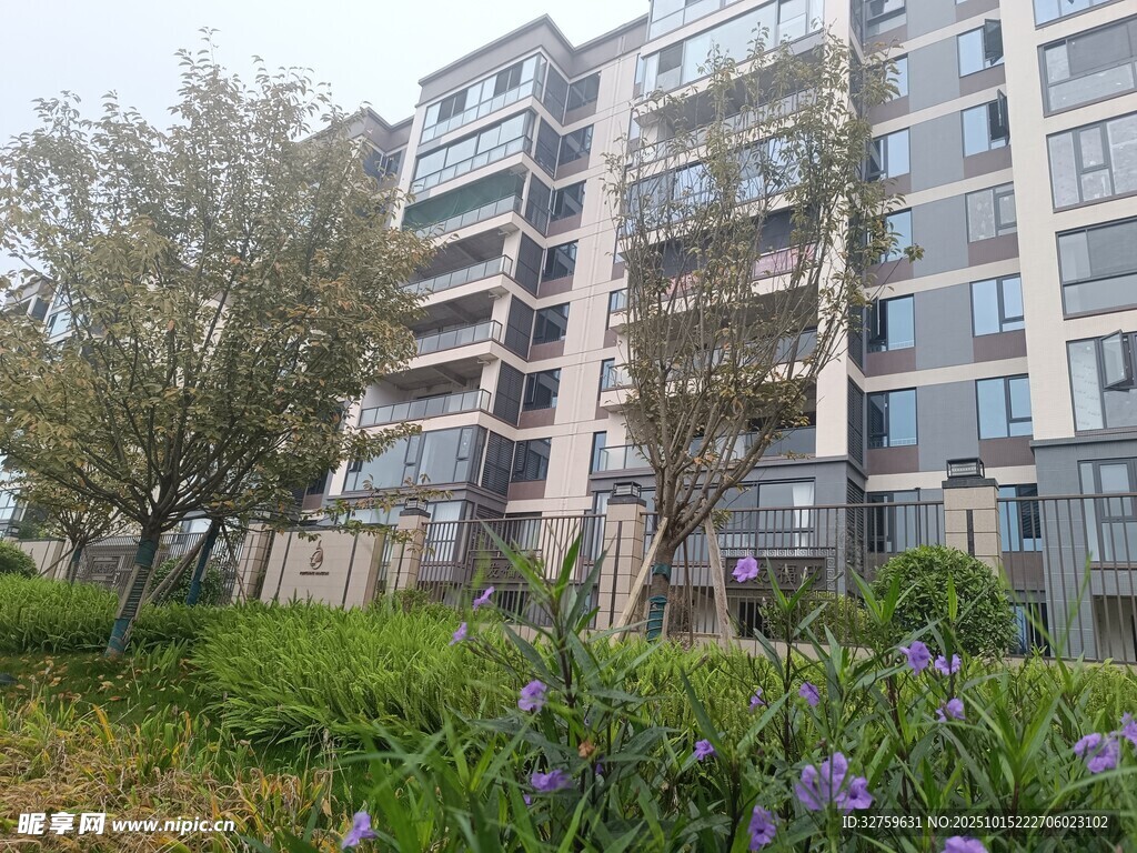 现代住宅旁的花草树木景观