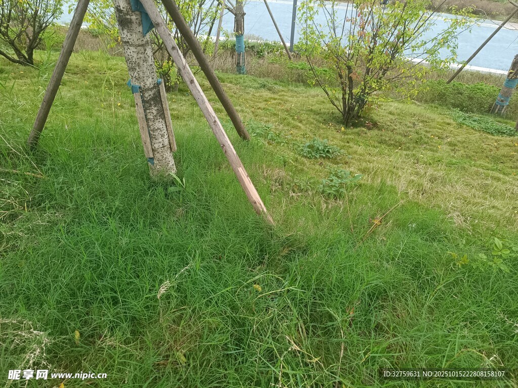 田园草地与简易木架景观