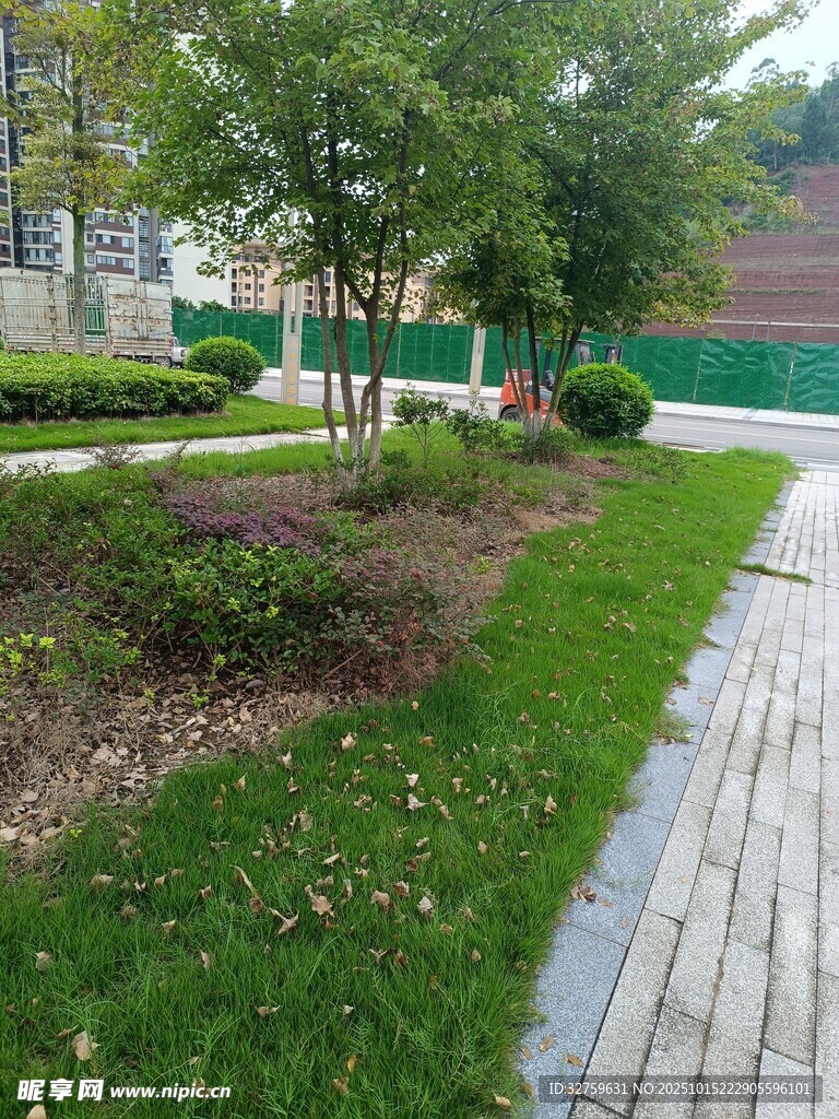 城市中的清新绿化景观
