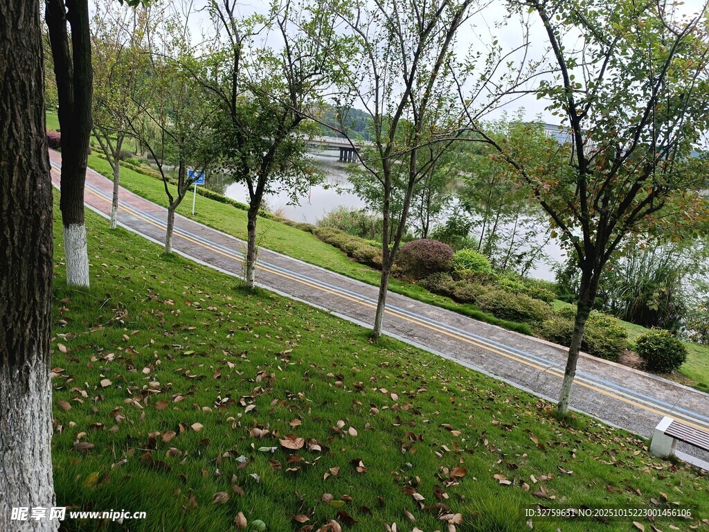 湖畔林荫步道秋日景致