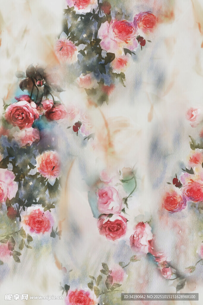 玫瑰花卉