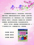 春季 香囊 养生驱除蚊虫 海报