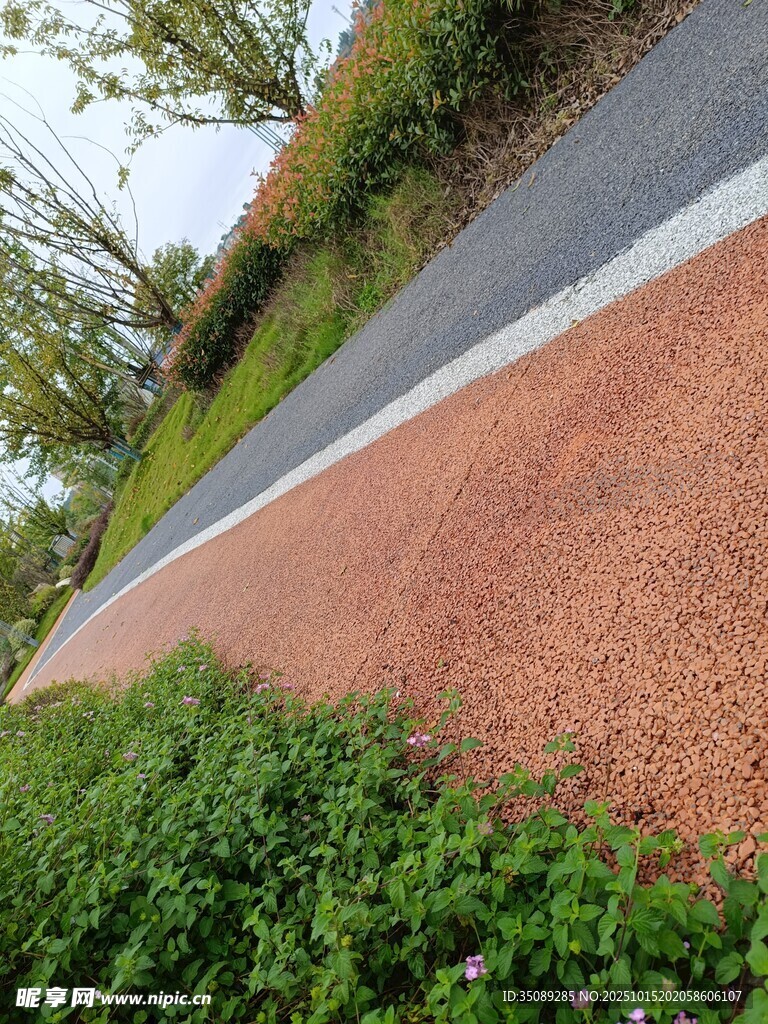 彩色步道旁的绿植景观