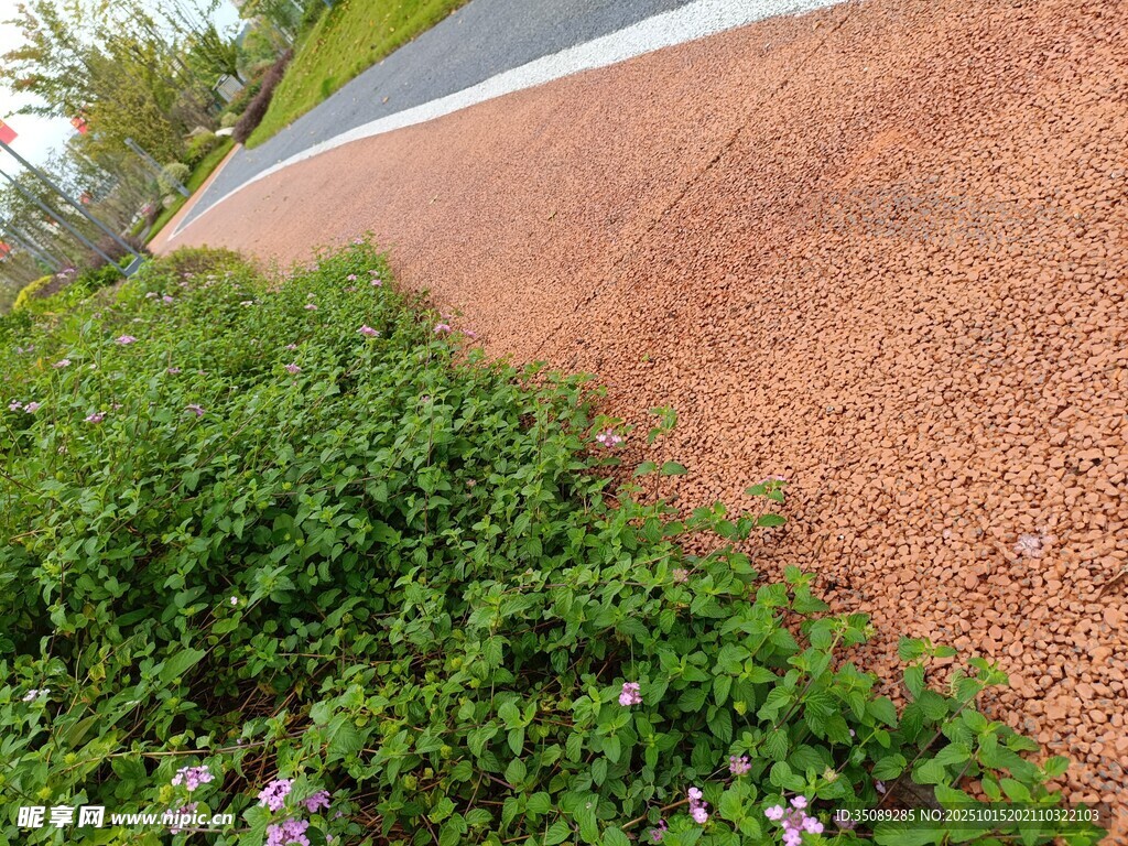 户外红地与绿植景观