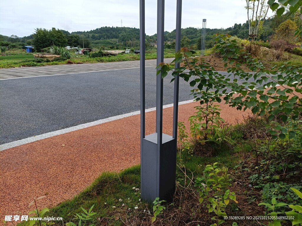 路边景观灯与绿植景致