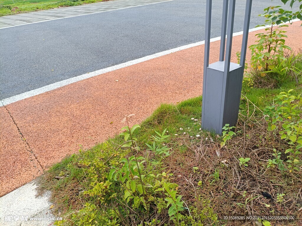 路边绿植与灰色灯杆景观