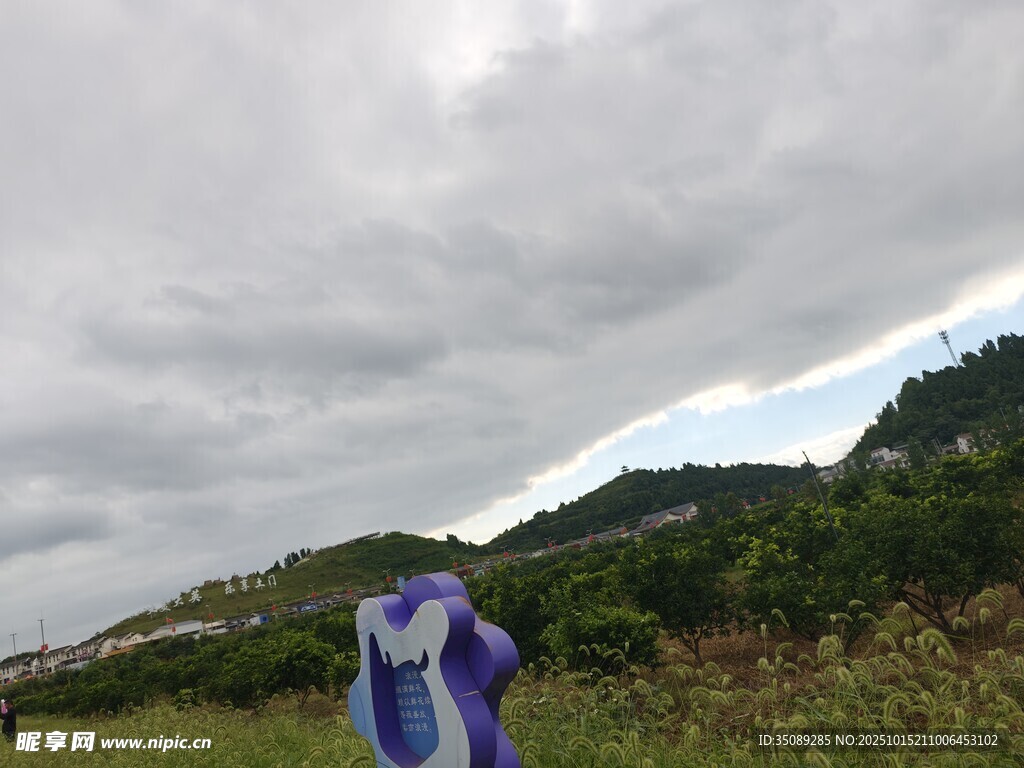 户外身着紫衣的人物风景