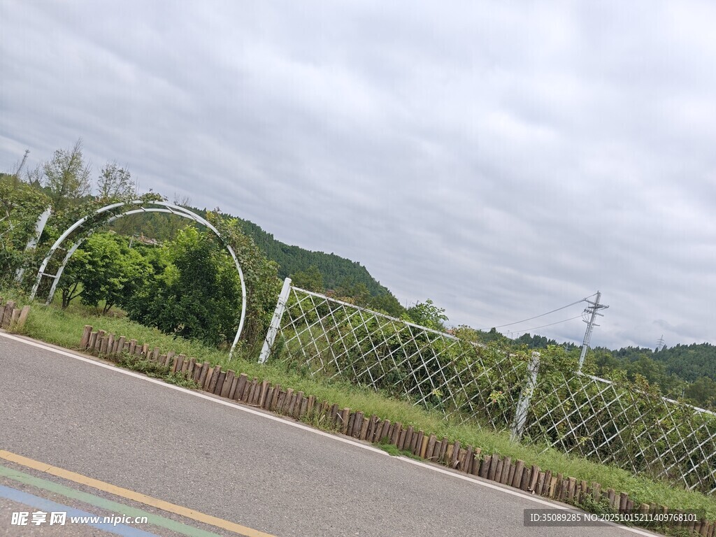公路旁的金属护栏景观