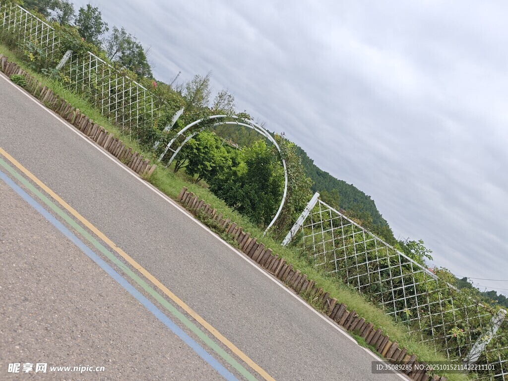 公路旁的绿植与远山景色