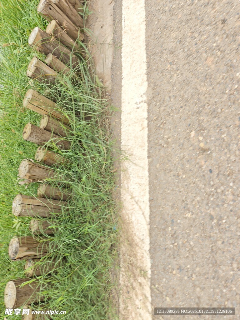木栏杆旁的翠绿草地